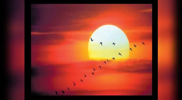 Debido a de su lento movimiento de rotación, tiene también un leve achatamiento polar. Su luz calienta nuestro planeta.