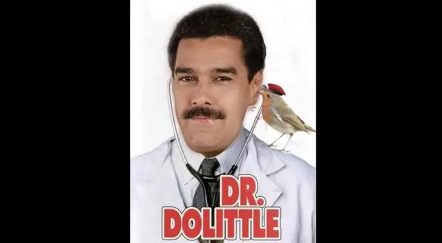 Circulan memes burlándose del comentario de Nicolás Maduro sobre la aparición de hugo Chávez en forma de pajarito. Circulan memes burlándose del comentario de Nicolás Maduro sobre la aparición de hugo Chávez en forma de pajarito.