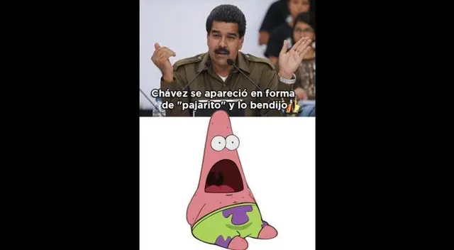 Circulan memes burlándose del comentario de Nicolás Maduro sobre la aparición de hugo Chávez en forma de pajarito. Circulan memes burlándose del comentario de Nicolás Maduro sobre la aparición de hugo Chávez en forma de pajarito.