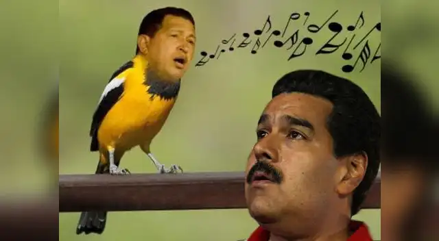 Nicolás Maduro realizó una campaña presidencial llena de excentricidades y polémicas frases.