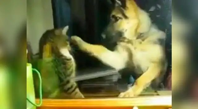 Video causa furor en las redes sociales.