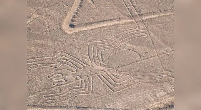 Toma nota: Entre los geoglifos de mayor tamaño destaca un un pájaro de casi 300 m, un lagarto de 180 m y un pelícano de 135 m. 