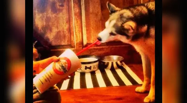 Floyd celebrando sus 2 años. Floyd celebrando sus 2 años.