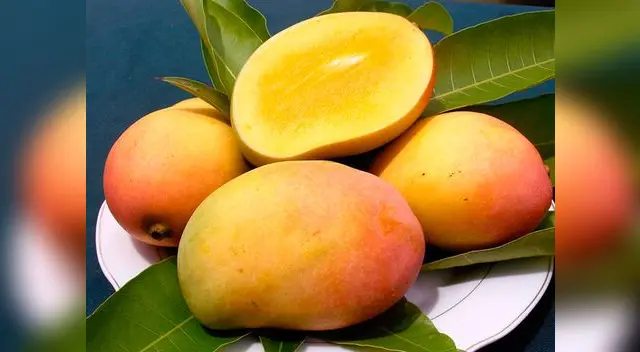 Un mango al día puede cubrir la vitamina C que requiere el cuerpo.