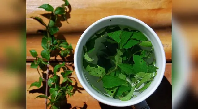 Alivia los dolores estomacales así como cólicos menstruales con su infusión