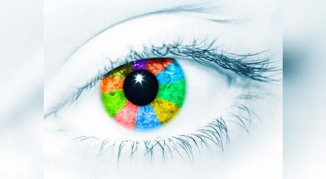 Conoce todas las partes de la visión Conoce todas las partes de la visión