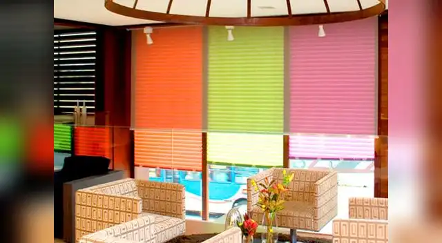 Hay de diferentes colores y tamaños. 