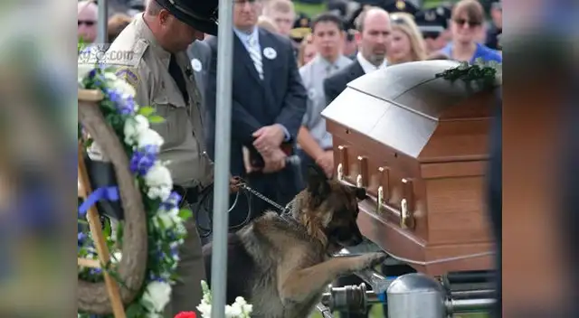 La imagen fue publicada en la red social Reddit y sorprendió a muchos.