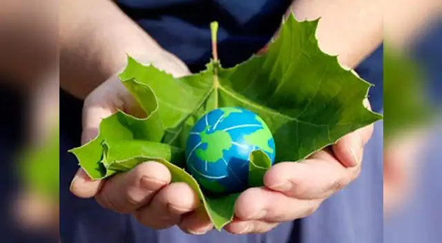 Como cada 5 de junio, se celebra el Día Mundial del Medio Ambiente.