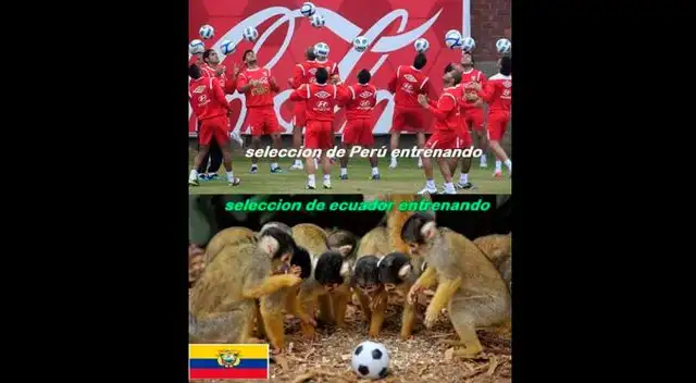 Perú - Ecuador: Llegaron los ricos memes del esperado encuentro. Perú - Ecuador: Llegaron los ricos memes del esperado encuentro.