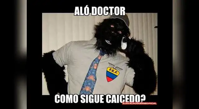 Perú - Ecuador: Llegaron los ricos memes del esperado encuentro. Perú - Ecuador: Llegaron los ricos memes del esperado encuentro.