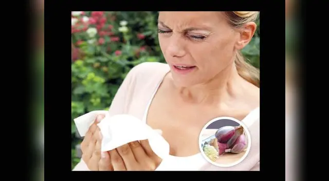 El ajo tiene propiedades curativas contra alergias respiratorias y de piel. El ajo tiene propiedades curativas contra alergias respiratorias y de piel.