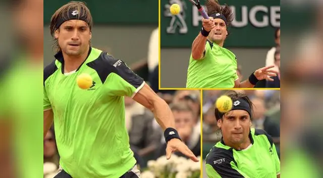 David Ferrer David Ferrer