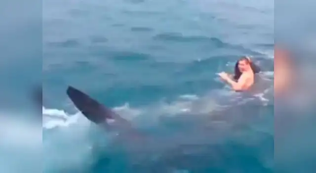 Hombre es grabado montando un tiburón grande.