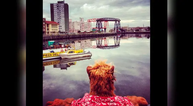 Alf se pasea por las calles de Buenos Aires.