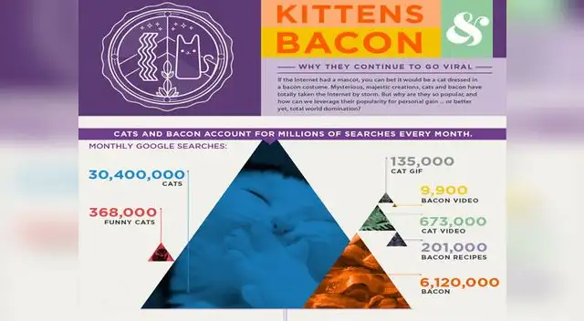 Los gatos y el tocino dominan Internet