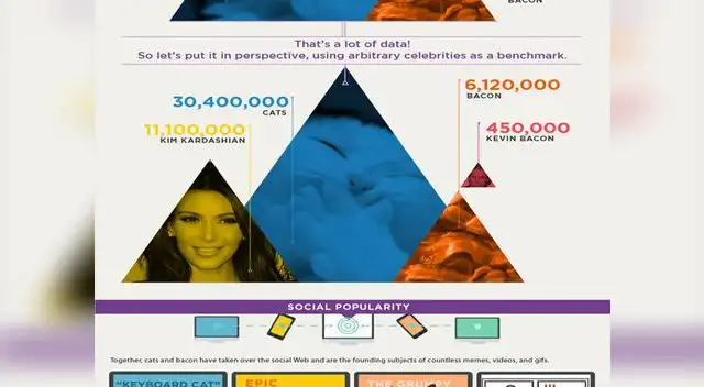Los gatos y el tocino dominan Internet