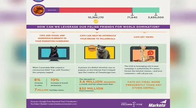 Los gatos y el tocino dominan Internet