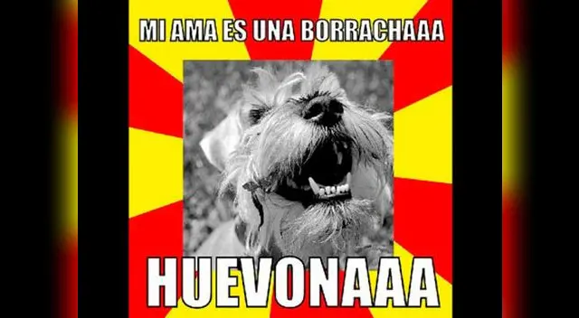 Circulan ocurrentes memes de la perra pituca.