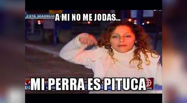 Circulan ocurrentes memes de la perra pituca.