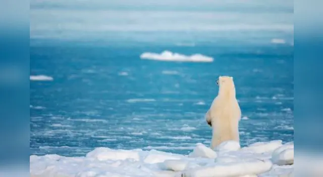 YouTube: Video muestra alarmante deshielo del Polo Norte. YouTube: Video muestra alarmante deshielo del Polo Norte.