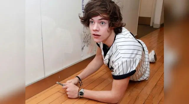 Harry Styles niega rotundamente ser bisexual. Harry Styles niega rotundamente ser bisexual.