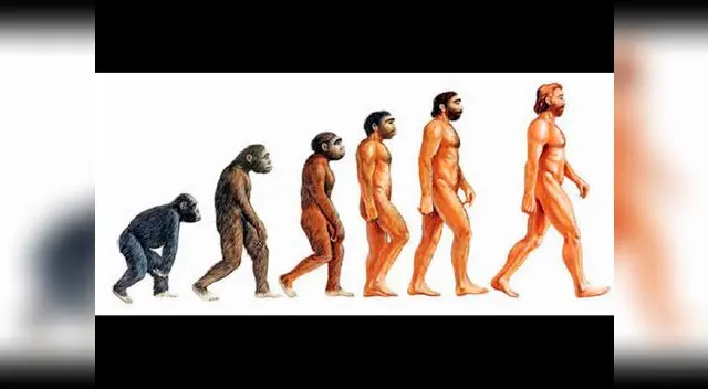 El origen de las especies.