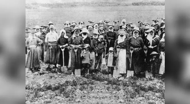 Toma nota: Se llama nikkei a los hijos de japoneses, incluyendo también a los que solo son por madre o padre, nacidos en Perú.