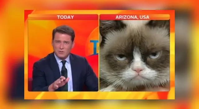 Grumpy cat sigue fascinando al público.