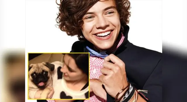 Harry Styles cumplió el sueño de una fan enferma gracias al Skype Harry Styles cumplió el sueño de una fan enferma gracias al Skype