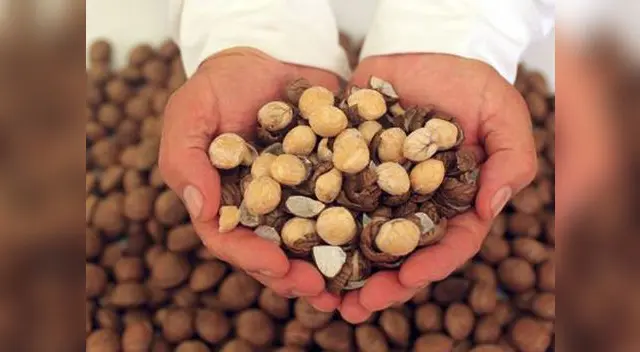 Consume hasta 8 pepitas diarias y prevén infartos, colitis y artritis reumatoide. Consume hasta 8 pepitas diarias y prevén infartos, colitis y artritis reumatoide.