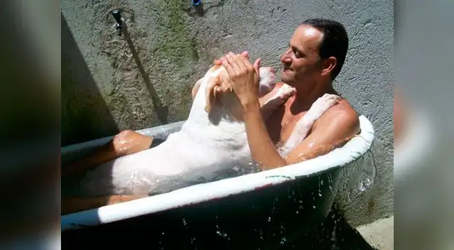 Hombre hizo milagro para salvar vida de un perro.