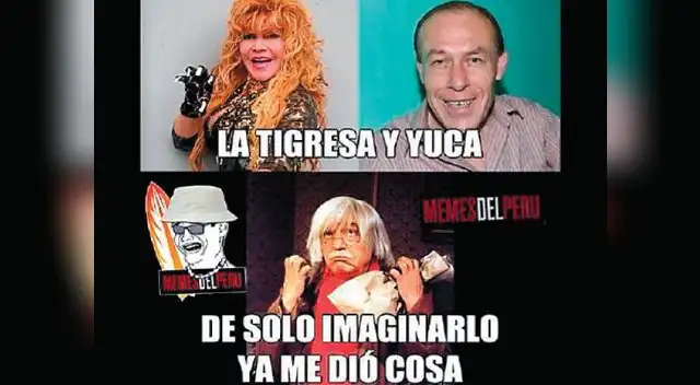 Internautas recrearon presentación de Tigresa con creativos memes.