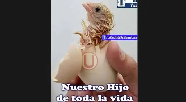 Divertidos memes del primer clásico del año