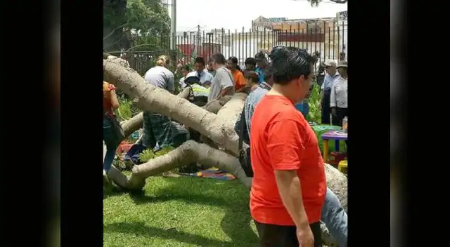 Pudo ocurrir una tragedia.