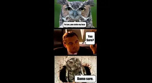Leonardo DiCaprio y sus memes tras perder el Oscar 2014 Leonardo DiCaprio y sus memes tras perder el Oscar 2014