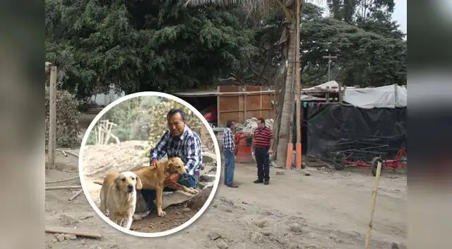 Todo estaba planificado.  