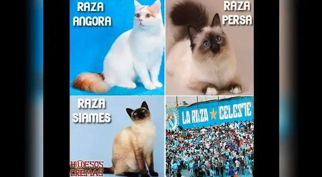 Con estos memes se va calentando la previa del Cristal-U