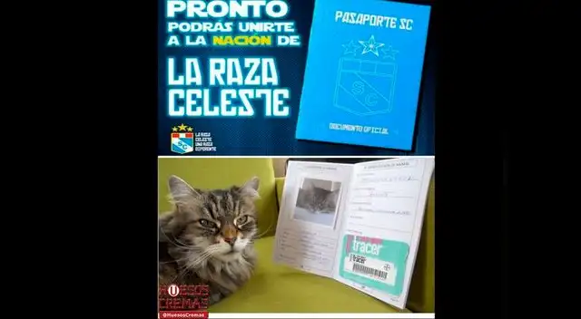 Con estos memes se va calentando la previa del Cristal-U