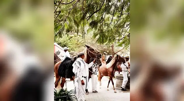Chalanes y caballos de Paso peruano engalanan las páginas de Vogue Chalanes y caballos de Paso peruano engalanan las páginas de Vogue
