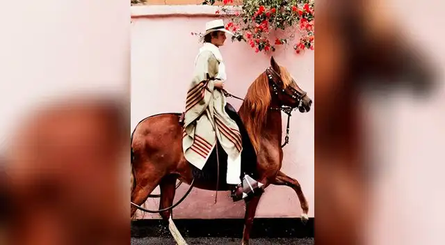 El chalán se luce en la edición de setiembre de la revista Vogue El chalán se luce en la edición de setiembre de la revista Vogue