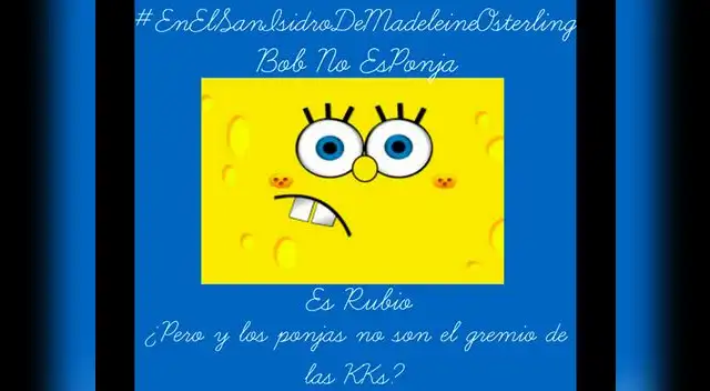 Madeleine Osterling víctima de memes en Redes Sociales Madeleine Osterling víctima de memes en Redes Sociales