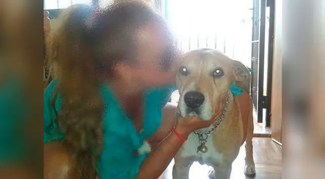 Autoridades sacrificaron a 'Excalibur' para evitar que Ébola se propague en la capital española.