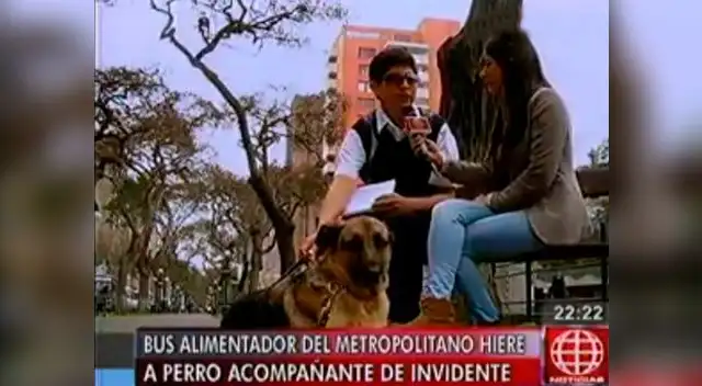 Joven denunció chofer de un alimentador del Metropolitano al no dejarlo ingresar con su perro lazarillo. Joven denunció chofer de un alimentador del Metropolitano al no dejarlo ingresar con su perro lazarillo.