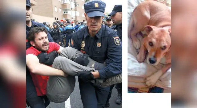 Decenas de personas se acercaron a los exteriores de donde vivía matrimonio español con 'Excálibur'.