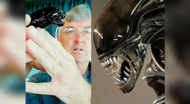Capturan ejemplar de Pez Alien, el terror de las profundidades marinas