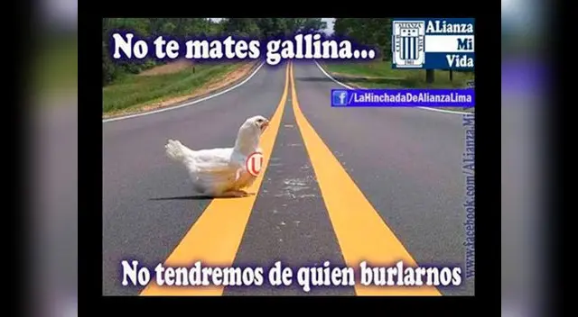 Íntimos vs. cremas. Íntimos vs. cremas.