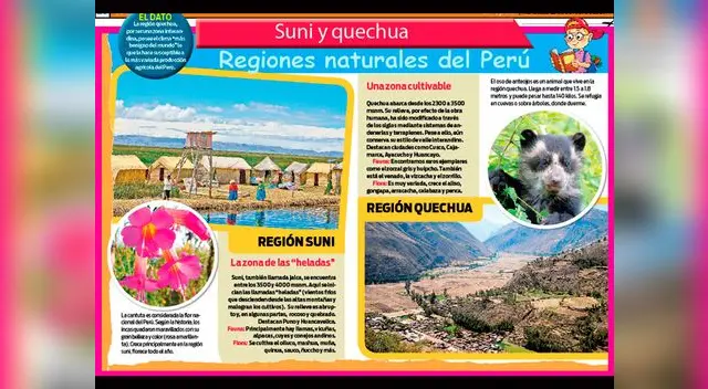 Regiones naturales del Perú.