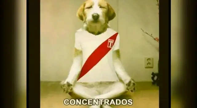 Memes calientan la previa del Paraguay vs. Perú 