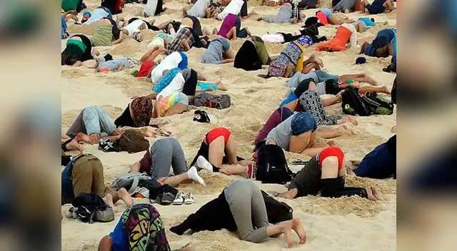 Australia: Ecologistas imitan a las avestruces para protestar contra el gobierno